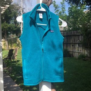 EUC Patagonia Better sweater vest